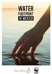 Water Footprint of Mexico 2026